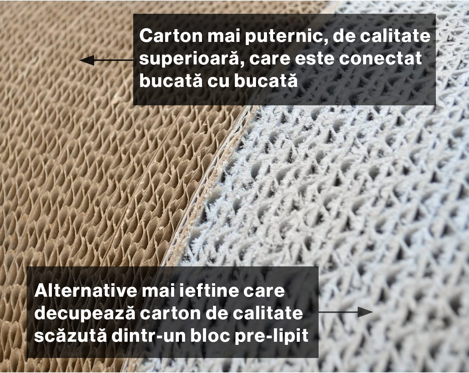 Ansamblu de joaca pentru pisici, NextWave®, loc de relaxare, model in forma ergonomica de infinit, reversibil si durabil, fabricat din carton ondulat reciclat