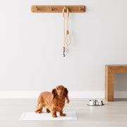 Set de 100 de covorase igienice absorbante NextWave®, pentru caini cu margini sigilate pentru prevenirea scurgerilor de lichid, strat inferior impermeabil, dimensiunea 45x33 cm, albastru