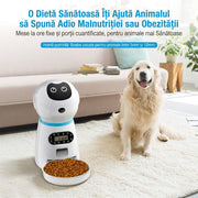 Hranitor Automat Digital Pisici si Caini NextWave®, Dispenser Hrana 3.5L, Bol Inox Premium, Control Portii, Mesaj Vocal Personalizat, Programare 4 Mese/Zi, Temporizator Digital, Senzor Infrarosu Anti-Blocare, Alimentare Dubla Priza/Baterii, 1.5W, Alb
