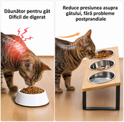 Set 3 boluri inaltate pentru pisici NextWave®️, suport inclinat la 15° anti-voma, 3 recipiente detasabile, din bambus, otel inoxidabil si silicon, pentru pisici si caini de talie mica, 3 x 350 ml, natur