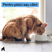 Covoras pentru hranirea animalelor NextWave®️, protejeaza podelele, 100% impermeabil, margini ridicate de 0, 3 cm impotriva scurgerilor, suprafata antiderapanta, din silicon alimentar fara BPA, pentru boluri pisici si caini, 47 x 30 cm, gri
