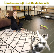 Set jucarii interactive pentru pisici NextWave, stimuleaza instinctul de vanator si miscarea, 2 baghete telescopice extensibile cu sfoara si clopotel, pene naturale ecologice, pentru pisoi si pisici de toate varstele, set 27 piese, 38.1-98.8 cm