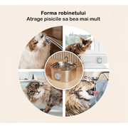 Dispenser apa automat tip fantana pentru pisici si caini NextWave®, cu fereastra mare pentru nivelul apei, purificare si filtrare prin carbune activ, otel inoxidabil, ultra-silentiosa, USB, adaptor priza, capacitate 3.2L