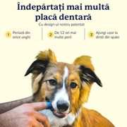 Set 2 periute de dinti pentru animale de companie tip degetar 360°, caine, pisica de dimensiune mare sau mica, silicon moale pentru dinti mai albi, curatare rapida, igiena dentara, albastru