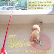 Set jucarii interactive pentru pisici NextWave, stimuleaza instinctul de vanator si miscarea, 2 baghete telescopice extensibile cu sfoara si clopotel, pene naturale ecologice, pentru pisoi si pisici de toate varstele, set 27 piese, 38.1-98.8 cm