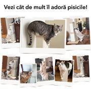 Ansamblu de joaca pentru pisici NextWave®, stalp pentru ascutit ghearelor, bila suspendata, confectionat din sisan natural rezistent la zgarieturi, inaltime mare de 81cm pentru protectia mobilierului, bej