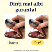 Set 2 periute de dinti pentru animale de companie tip degetar 360°, caine, pisica de dimensiune mare sau mica, silicon moale pentru dinti mai albi, curatare rapida, igiena dentara, albastru