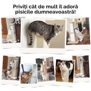 Ansamblu de joaca pentru pisici NextWave®, stalp pentru ascutit ghearelor, bila suspendata, confectionat din sisan natural rezistent la zgarieturi, inaltime mare pentru protectia mobilierului