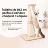 Ansamblu de joaca pentru pisici NextWave®, stalp pentru ascutit ghearelor, bila suspendata, confectionat din sisan natural rezistent la zgarieturi, inaltime mare de 81cm pentru protectia mobilierului, bej